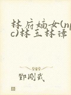 林府嫡女(npc)林玉林璋