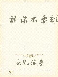 请你不要离开我