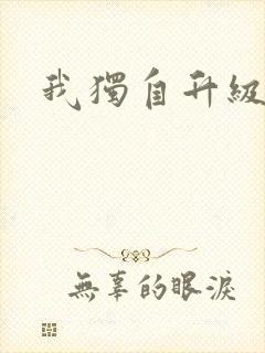 我独自升级小说