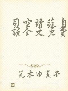 司空靖苏月汐小说全文免费阅读