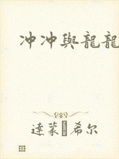 冲冲与龙龙封面