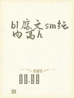 bl腐文sm纯肉高h封面
