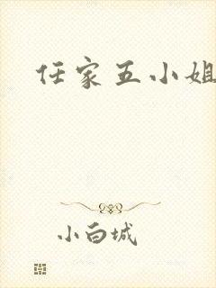 任家五小姐封面