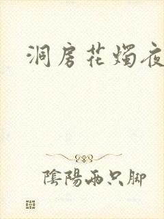 洞房花烛夜小说