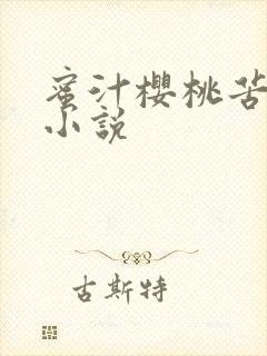 蜜汁樱桃苦咖啡小说