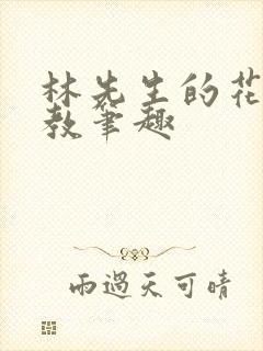 林先生的花式管教笔趣