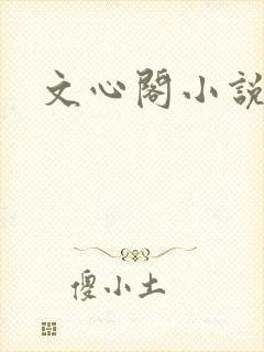 文心阁小说