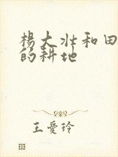 杨大壮和田桂花的耕地