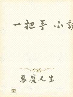 一把手 小说
