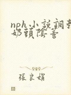 nph小说调教奶头阴蒂