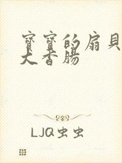 宝宝的扇贝想吃大香肠封面