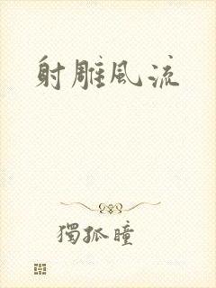 射雕风流