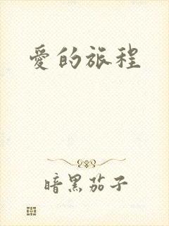 爱的旅程