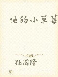 他的小草莓封面