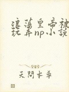 浪荡皇帝被多人玩弄np小说封面