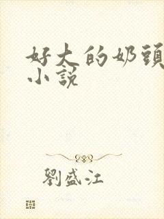 好大的奶头在线小说