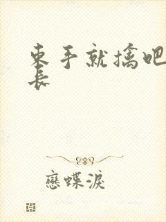 束手就擒吧韩队长