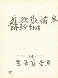 瘾欲欢愉半块小饼干tnt