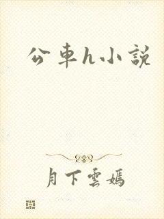 公车h小说