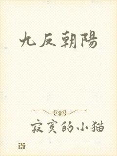 九反朝阳封面