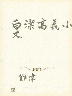 白洁高义小说全文封面