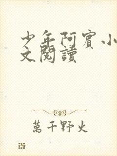 少年阿宾小说全文阅读