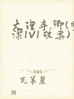 大理寺.卿(双洁1V1破案)封面