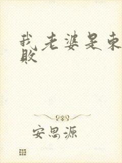 我老婆是东方不败