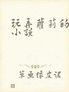 玩弄萝莉的高h小说