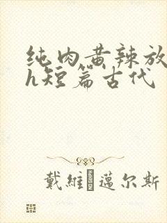 纯肉黄辣放荡高h短篇古代