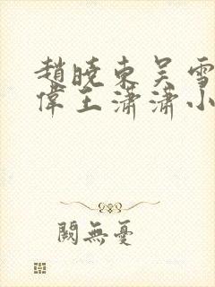 赵晓东吴雪晴郑伟王潇潇小说