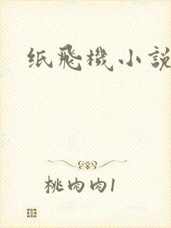 纸飞机小说
