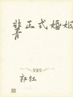 非正式婚姻雾里青封面