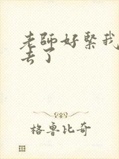 老师好紧我要进去了封面