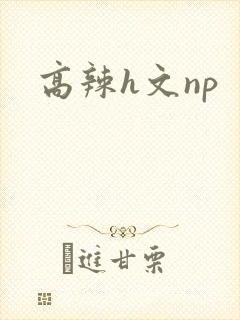 高辣h文np