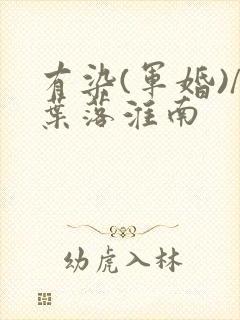 有染(军婚)/叶落淮南