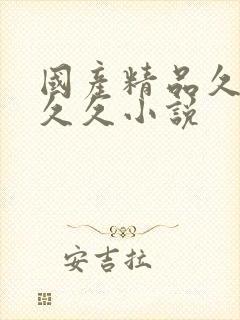 国产精品久久久久久小说