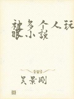 被多个人玩屁股眼小说封面