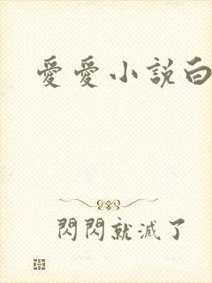 爱爱小说白洁封面