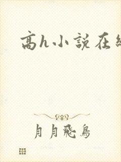 高h小说在线看