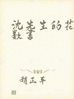 沈先生的花式调数书封面