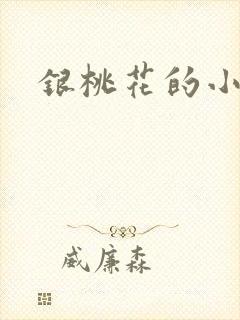 银桃花的小说
