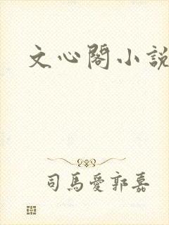 文心阁小说封面