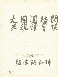 大团圆结闪闪发光亲情会视频封面