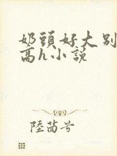 奶头好大别吸了高h小说