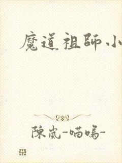 魔道祖师小说