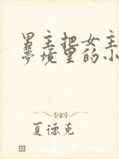 男主把女主拖进梦境里的小说封面