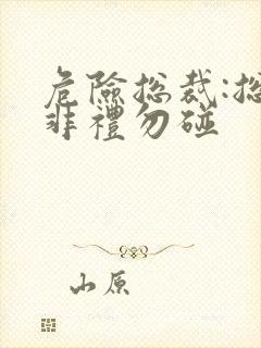 危险总裁:总裁非礼勿碰