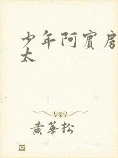 少年阿宾房东太太