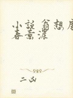 小说 翁想房中春意浓